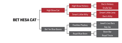 bet hesa cat offspring.